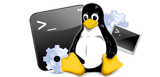 Các câu lệnh cơ bản quản trị server linux dành cho người mới bắt đầu
